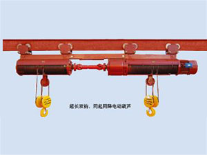 西藏超长双钩同起同降电动葫芦